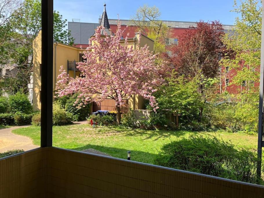 Apartment Traumhafte Im Herzen Von